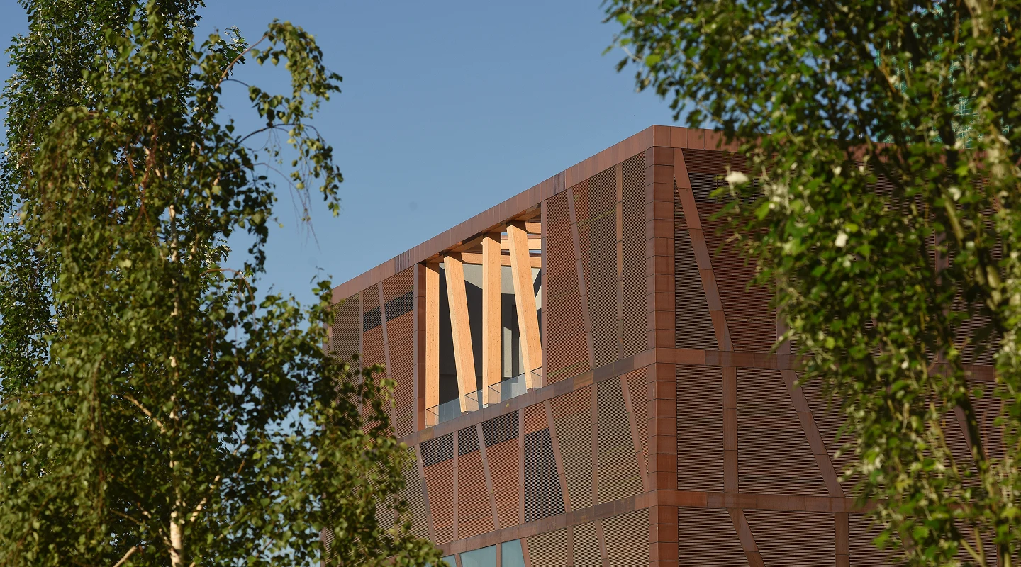 Коллекция Зиларт